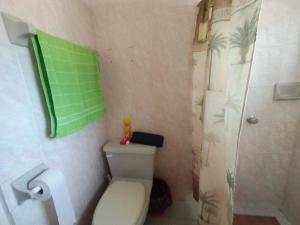 mała łazienka z toaletą i prysznicem w obiekcie Cerca de laguna y embarcadero hacia isla lobos w mieście Tamiahua