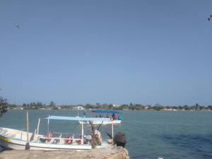 Łódź zakotwiczona jest w doku w wodzie w obiekcie Cerca de laguna y embarcadero hacia isla lobos w mieście Tamiahua