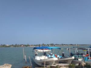 dwie łodzie zacumowane w porcie w wodzie w obiekcie Cerca de laguna y embarcadero hacia isla lobos w mieście Tamiahua