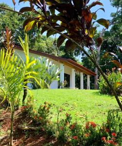 Zahrada ubytování Casa Tres Tucanes