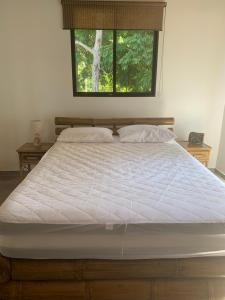 a large bed in a bedroom with a window at Casa Tres Tucanes in San Isidro