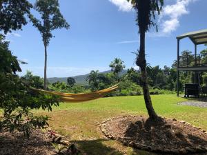 Jardín al aire libre en Daintree - House with a view