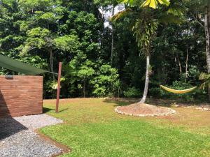 Jardín al aire libre en Daintree - House with a view