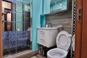 a bathroom with a toilet and a shower at Ultracentral Residence 6 in Ploieşti +8 photos