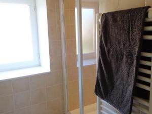 a shower with a glass door and a window at Gîte Lentigny, 3 pièces, 4 personnes - FR-1-496-129 in Lentigny