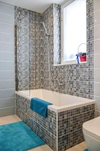 Blue Luxury Apartment tesisinde bir banyo
