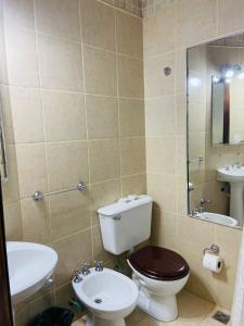 a bathroom with a toilet and a sink at Gran Texier Hotel Casino in Concepción del Uruguay