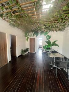 ein leeres Zimmer mit einem Tisch und Pflanzen an den Decken in der Unterkunft Casa Ambrosía in Calarcá