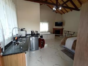 una cocina con fregadero y una cama en una habitación en Cantinho na serra, en Monte Verde