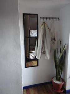 een badkamer met een spiegel en een potplant bij Haku Hostel in Cuzco