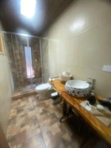 a bathroom with a sink and a toilet at Hospedaje acceso a laguna y tinaja in Quillón