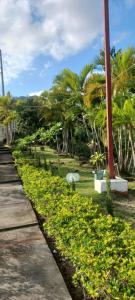 un chemin dans un parc avec des palmiers et un poteau dans l'établissement villa almonte, à Santiago de los Caballeros