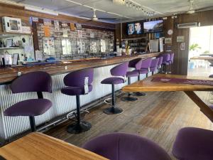a bar with purple bar stools in a restaurant at Carmila Hotel in Carmila