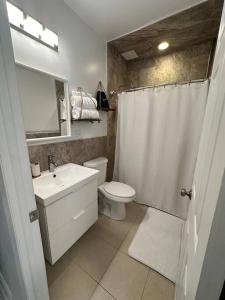 a bathroom with a sink and a toilet and a mirror at Cozy 1BR Condo in West Hartford