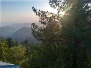 - une vue sur les montagnes et le soleil brillant à travers les arbres dans l'établissement 72 Khairagali, à Khaira Gali