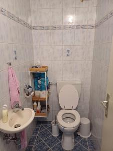a bathroom with a toilet and a sink at Ferienhaus Häusler in Sankt Erhard +35 photos