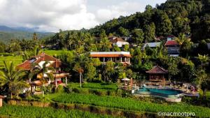 a resort in the middle of a rice field at Lesong Hotel and Restaurant in Munduk