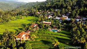 an aerial view of a village in the middle of rice fields at Lesong Hotel and Restaurant in Munduk