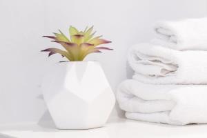 Fotografie z fotogalerie ubytování Bright Stylish Kings Beach Apartment v destinaci Caloundra