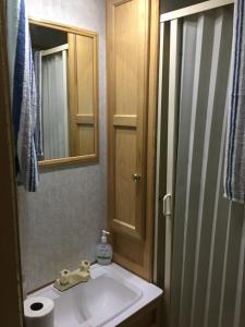 y baño con lavabo y espejo. en Shady Acre RV Rental, en Vesuvius