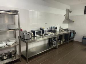 a kitchen with a stainless steel counter in a kitchen at Pensiunea Celestin in Eşelniţa