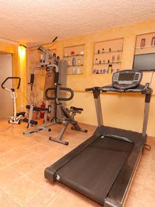 Fitness centrum a/nebo fitness zařízení v ubytování Spa Hotel Alex