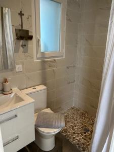 ein Bad mit einem WC, einem Waschbecken und einem Fenster in der Unterkunft Chambre près de Walygator et Aqualand in Brax