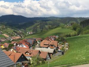 een luchtzicht op een dorp met huizen en heuvels bij 2 Z. FeWo barbo-Wanderparadies in Oberharmersbach