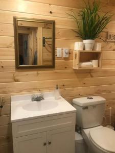 een badkamer met een toilet, een wastafel en een spiegel bij The Church House in New Brunswick in Cape Tormentine