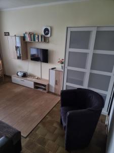 a living room with a chair and a television at Haus Rosi in Friedrichskoog-Spitz