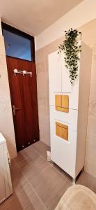 ein Badezimmer mit einer Tür und einer Pflanze in der Unterkunft Apartment V&S in Pula