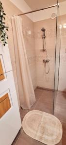 ein Badezimmer mit einer Dusche und einem Teppich auf dem Boden in der Unterkunft Apartment V&S in Pula