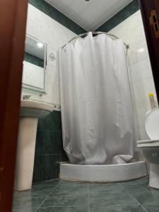 ein Bad mit einem Duschvorhang und einem Waschbecken in der Unterkunft Villa Hotel in Yerevan