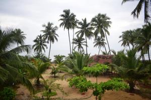 a group of palm trees on a beach with a building at WHITE SAND BEACH STAY- Delta hospitality- in Udupi