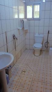 a bathroom with a toilet and a sink at AU COEUR DE BONAMOUSSADI-WIFI-PARKING-GARDIENS-24H in Douala