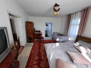 een woonkamer met een bed en een flatscreen-tv bij Casuta bunicilor 