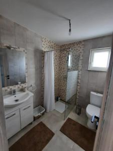 a bathroom with a sink and a shower and a toilet at Casuta bunicilor 