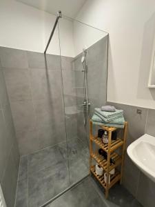 une douche avec une porte vitrée dans une salle de bain dans l'établissement Apartments am Kaisersaal, à Erfurt