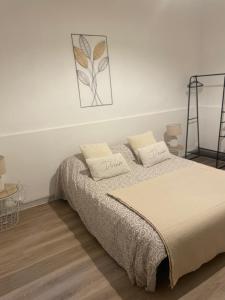 1 dormitorio con 1 cama con 2 almohadas en Appartement authentique coeur de ville sete en Sète