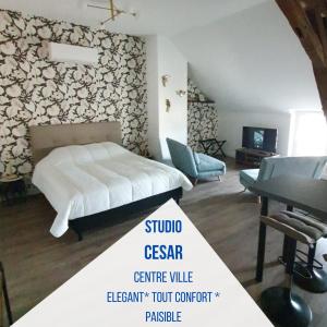a bedroom with a bed and a desk and a table at Centre de Provins : superbe appartement neuf in Provins