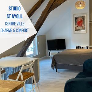 Studio Saint Ayoul في بروفين: غرفة بسرير وطاولة وتلفزيون