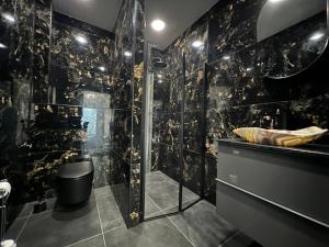 een badkamer met een douche met zwarte tegels bij Mieterlux Frankfurt Heusenstamm 46 in Heusenstamm