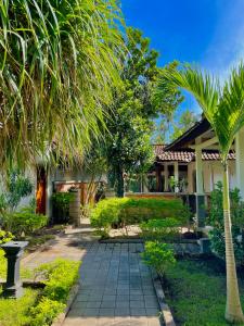 eine Palme vor einem Haus in der Unterkunft Green Coco House in Amed + 77 Fotos