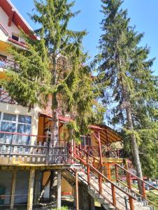 una casa con terraza y dos árboles en Pensiunea Cabana Art, en Arieşeni