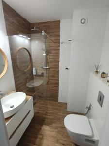 La salle de bains est pourvue de toilettes, d'un lavabo et d'une douche. dans l'établissement GOLD CLIFF APARTMENT NIECHORZE Baltic Cliff, à Niechorze