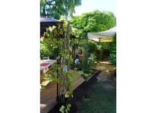 un jardín con una tienda y una planta en Eva Und Wolf Apartments, en Sachsenheim