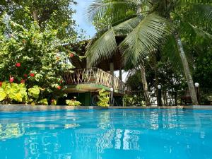 a swimming pool with a house in the background at Swastha Ayurveda Villa in Hikkaduwa