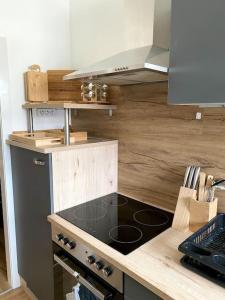 cocina con fogones y encimera en Waldviertel Stay, en Groß-Siegharts