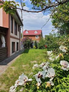 Vonkajšia záhrada v ubytovaní Dacha Koncha Zaspa