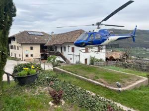 Zahrada ubytování Arzenhof, Baron Di Pauli